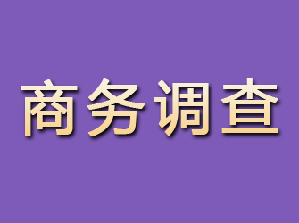 东昌府商务调查